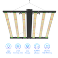SunMax 6SP 6Bar 750W