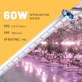 VFI Interlighting Grow Light 100W