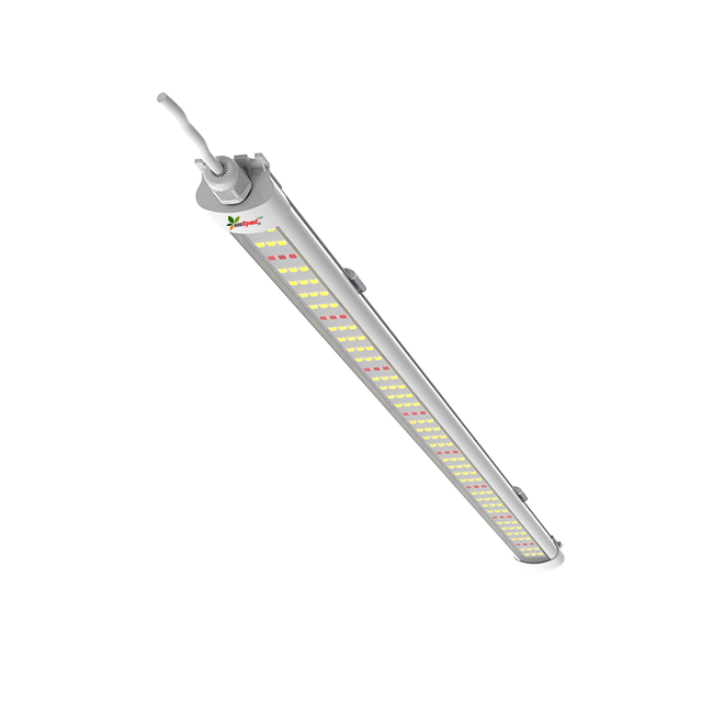 VFB 18-24-36W LED 条形生长灯