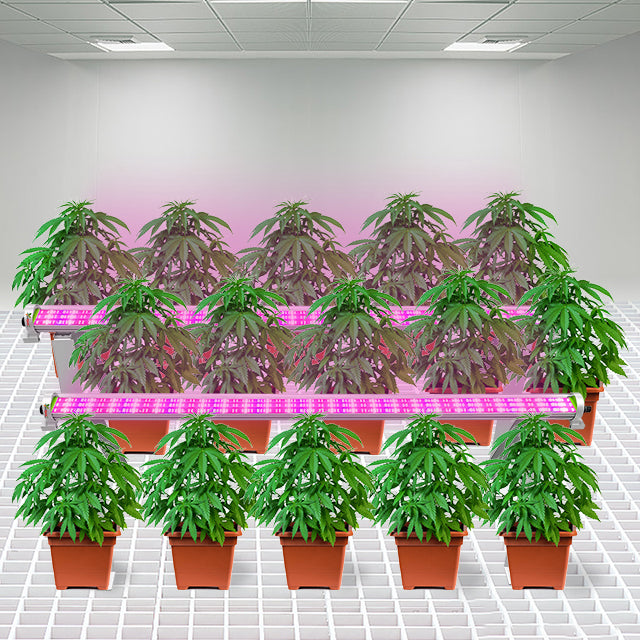 plant grow light bar New Under Canopy Grow Light Bar 120W