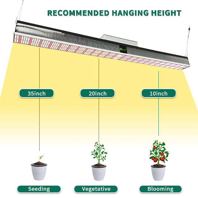 SunMix-Top Lighting-500W