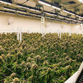 SunMix-Toplighting-500W