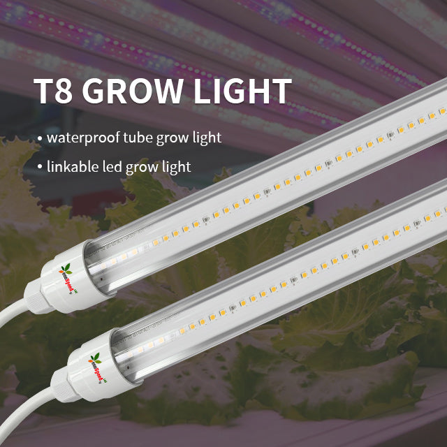T8 18-24W LED Tube Grow Light – Ecospeedled