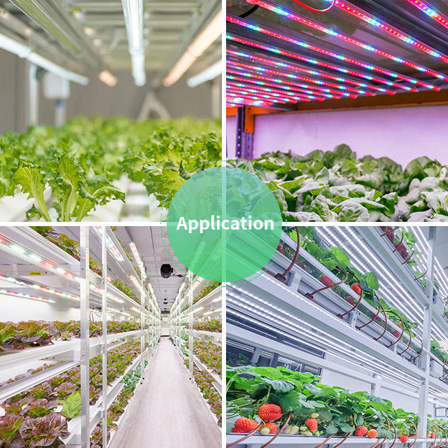 T8 18-24W LED Tube Grow Light – Ecospeedled