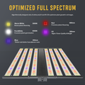 SunFlux 8bar 1000W Spectrum Adjustable with 3 Channels Control