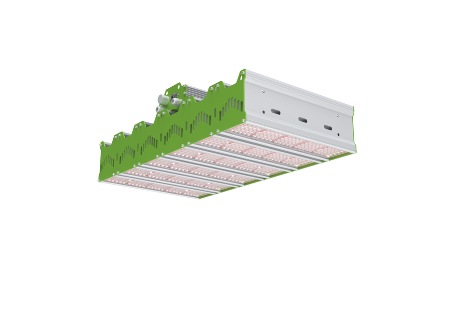 WL-VFT-6W1000 4 Channel
