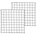 Elastic net