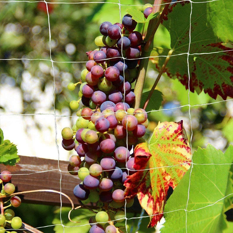 Heavy nylon net