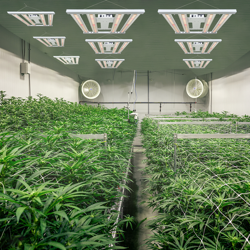 SunMax mini 4bar 320W ( with UV IR )Indoor planting