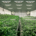 SunMax mini 6bar 500W ( with UV IR )Indoor planting